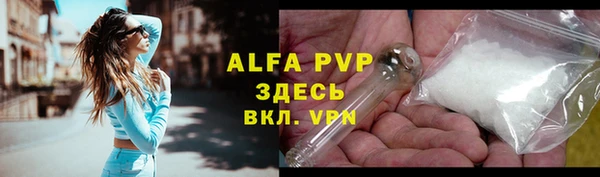 a pvp Новозыбков