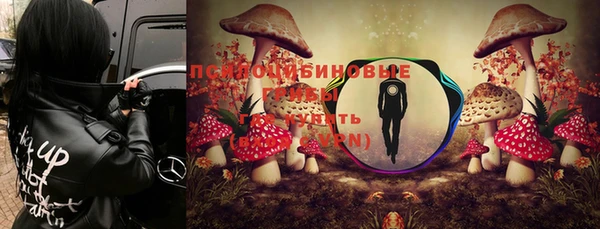 мяу мяу кристалл Нефтекумск